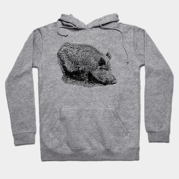 Wild boar Hoodie by Guardi